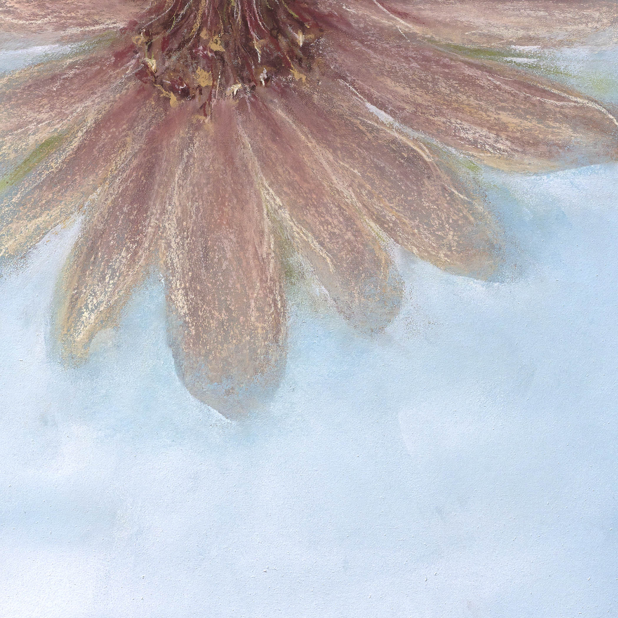 pink flower on a blue background, visual weight in interior design
