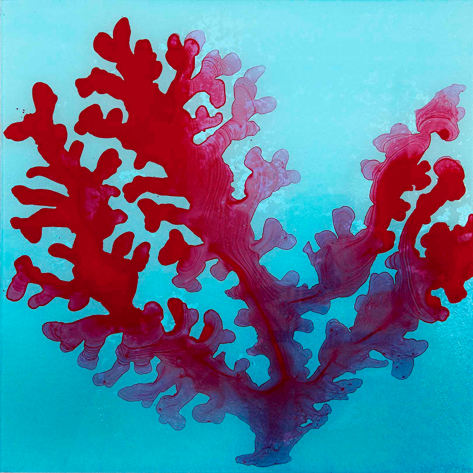 Crimson coral ink painting drifting through turquoise waters, fluid and organic, bursting with translucent undersea energy.