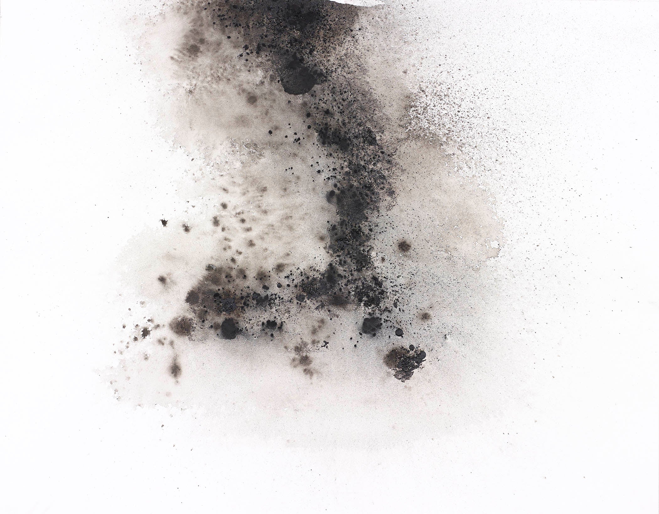 Charcoal abstract painting with blooms, smudges, and shadows on a white background.