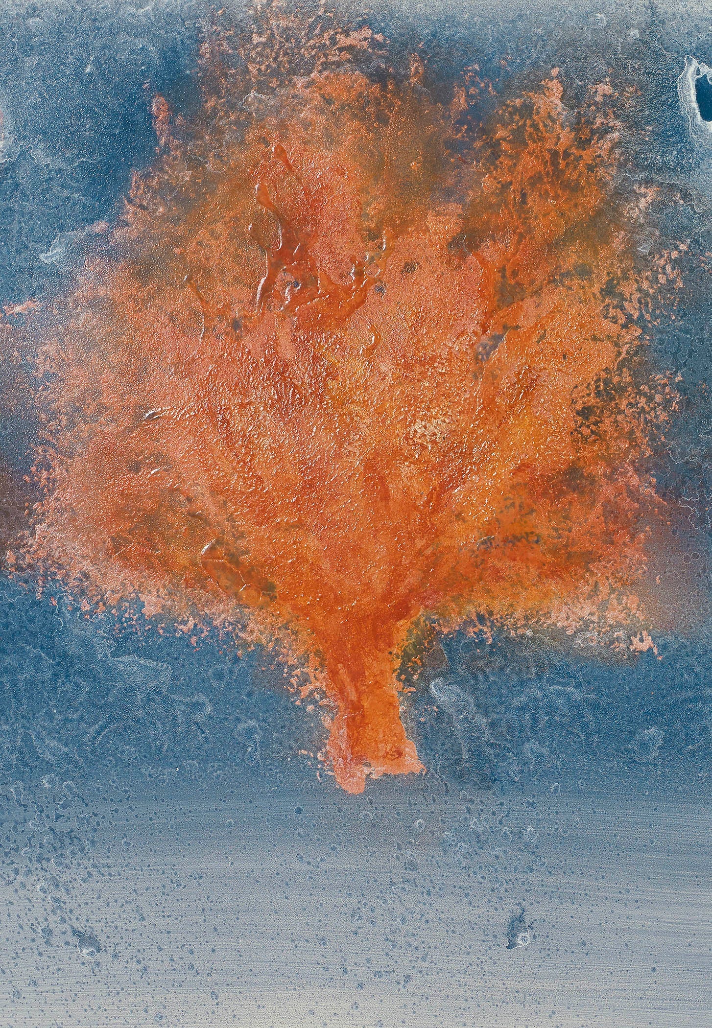 Coral abstract painting with fiery coral form on textured blue ground, evoking marine life, ocean vitality, and elemental energy.