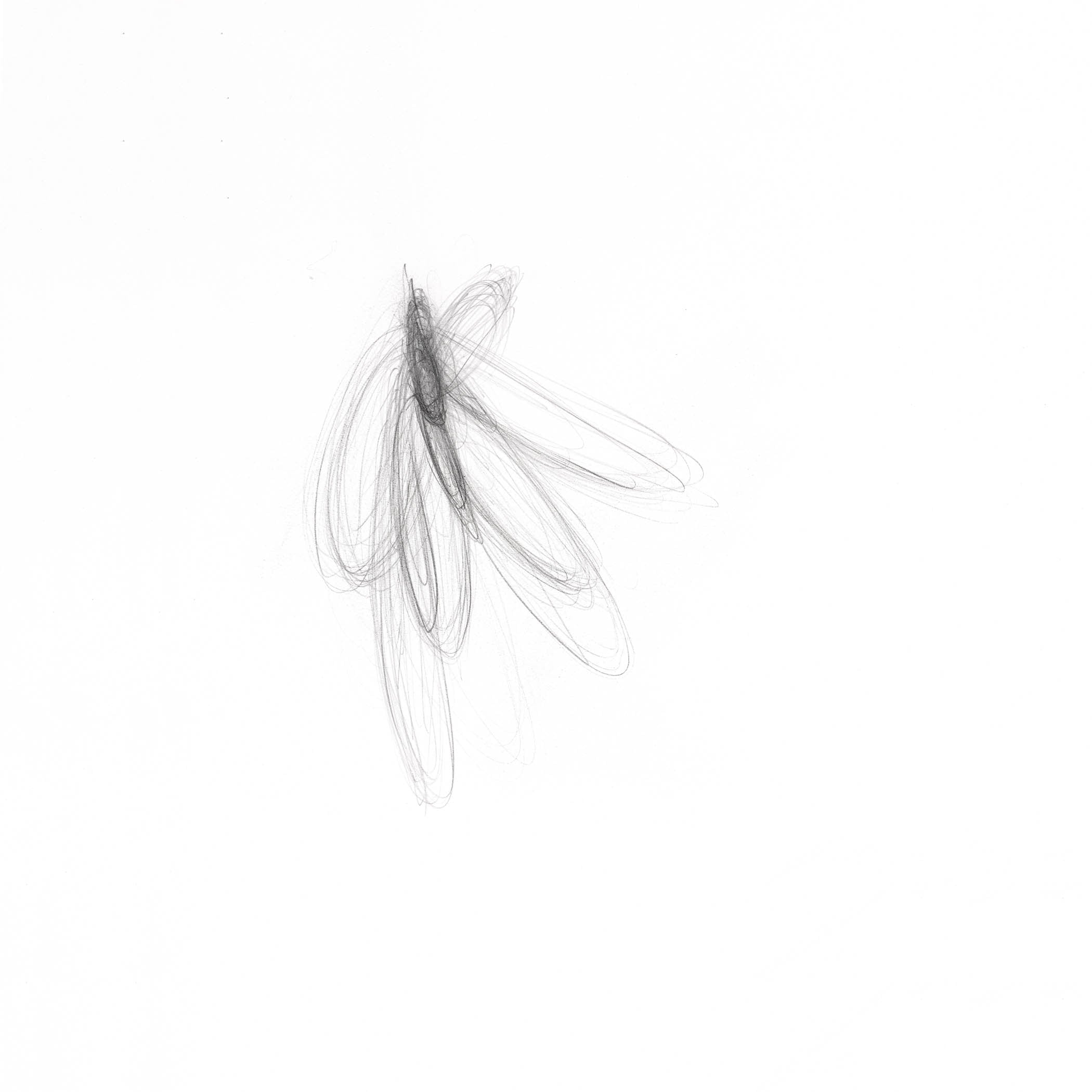 Minimalist graphite drawing with delicate looping lines suggesting wings or thought in motion, airy and intimate.
