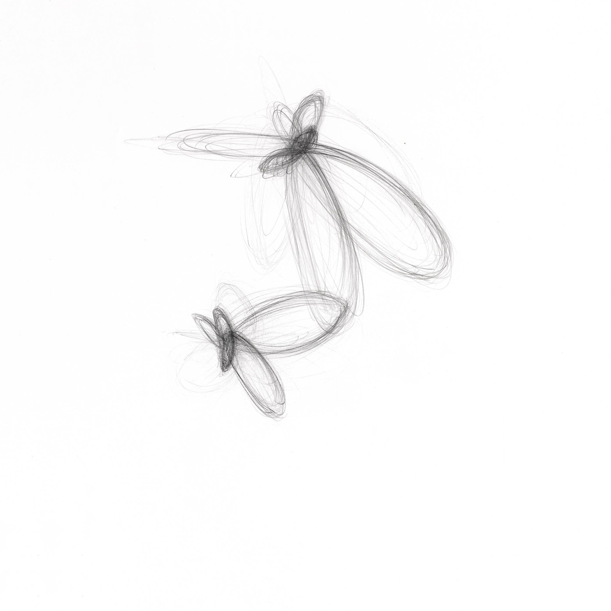 Delicate graphite artwork with looping organic forms suggesting cocoons or wings, evoking softness and transformation.