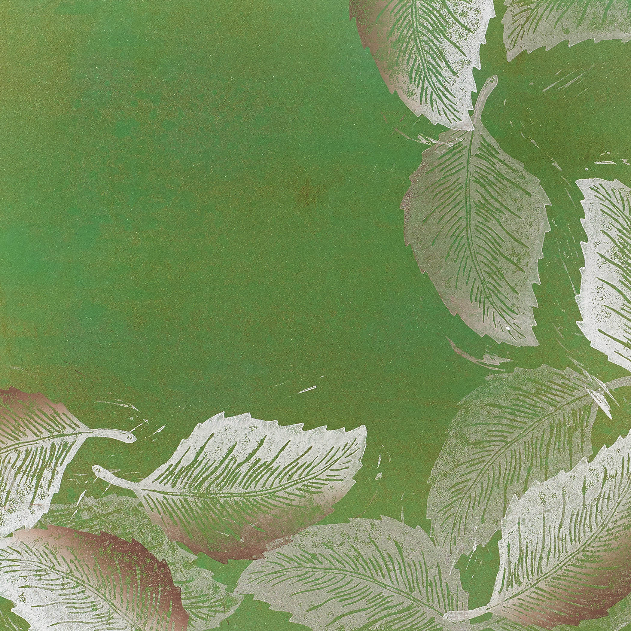 Fundamental Foliage II