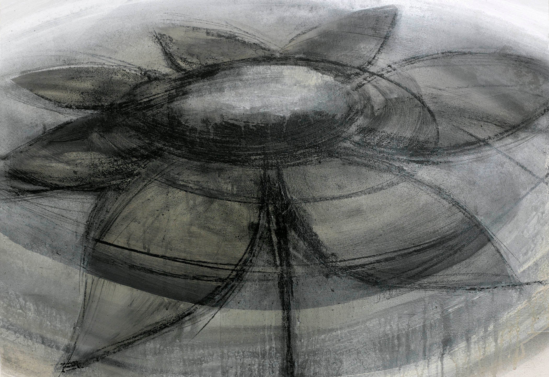 Monochrome floral abstract art showing a blurred flower rendered in ash and shadow against a muted background.