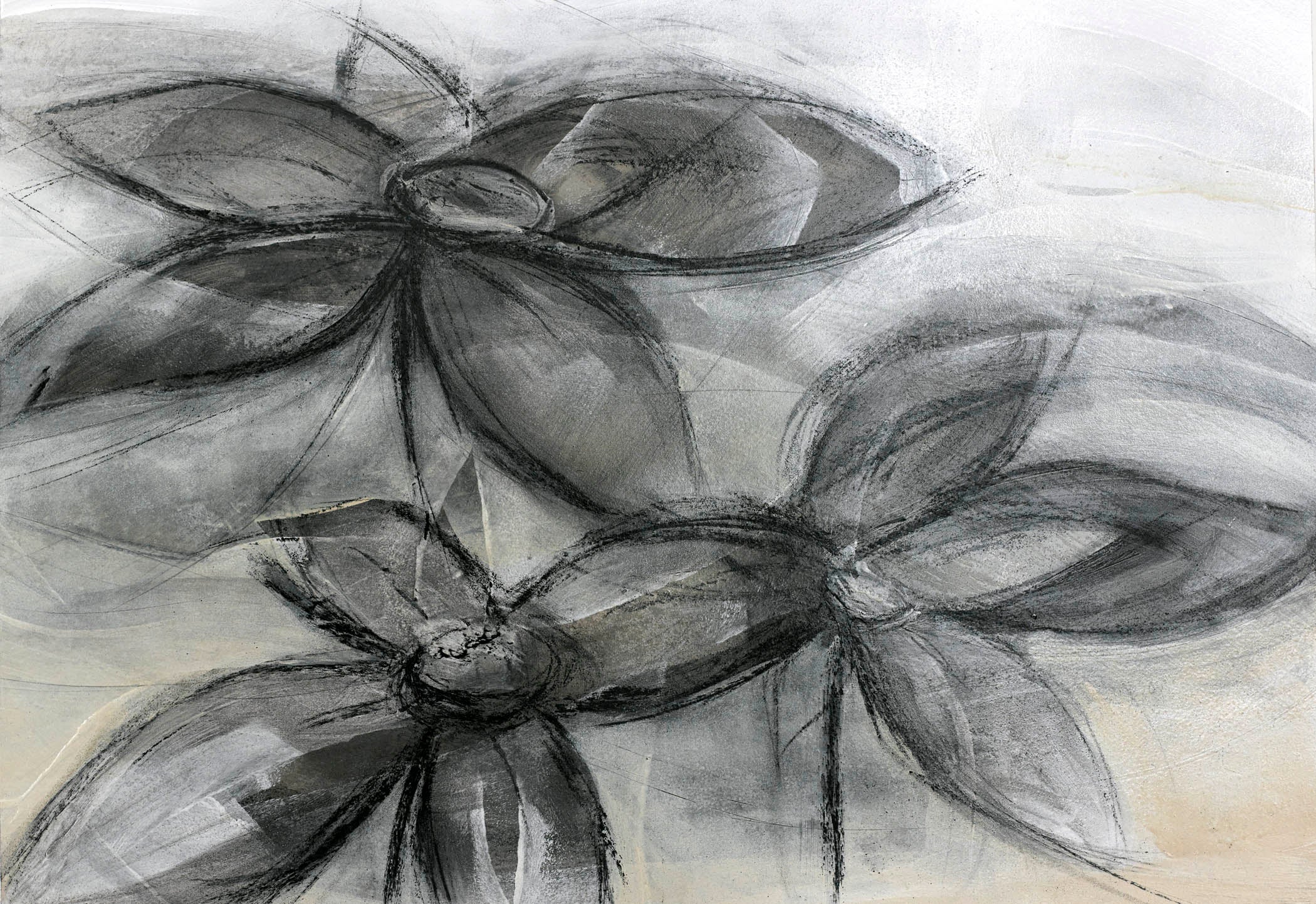 Charcoal floral abstract art with three spectral gray blooms rendered in sweeping charcoal lines and layered transparencies.