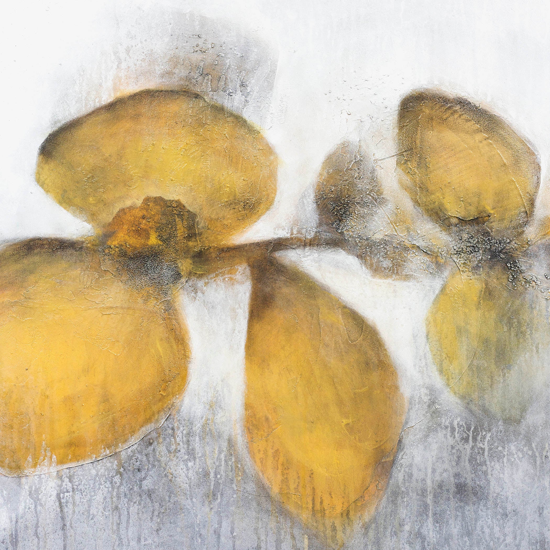 Transcendant Spheres IV