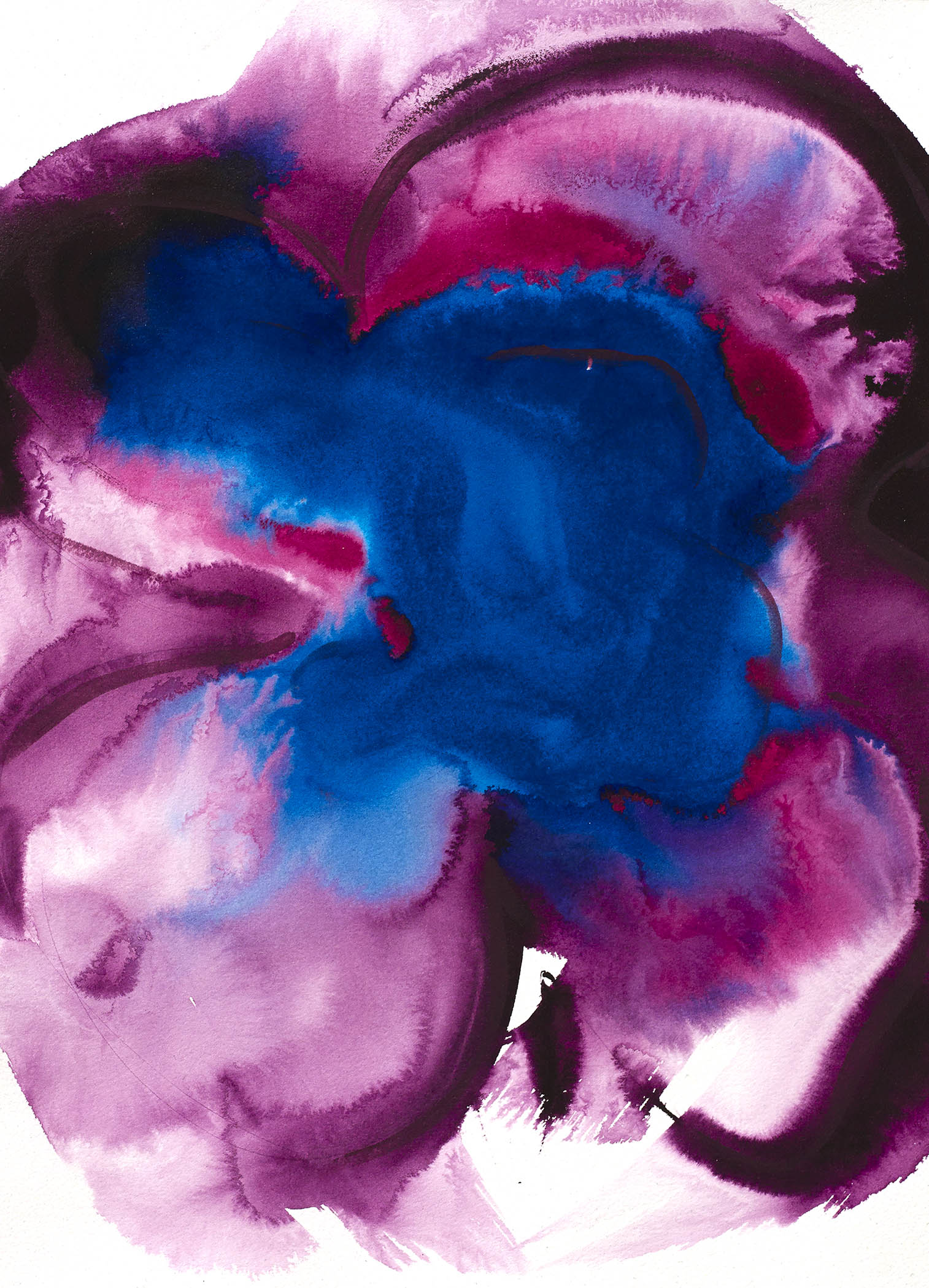 Vibrant floral abstract art with cobalt and fuchsia petals diffusing outward in energetic watercolor motion.