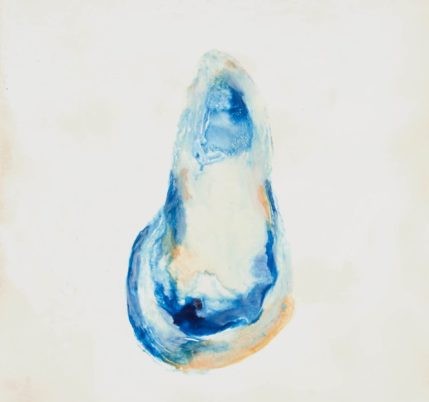 Abstract coastal watercolor art with rippling blue and soft coral tones swirling into a translucent shell-like form against a pale background, evoking ocean memory and resilience.