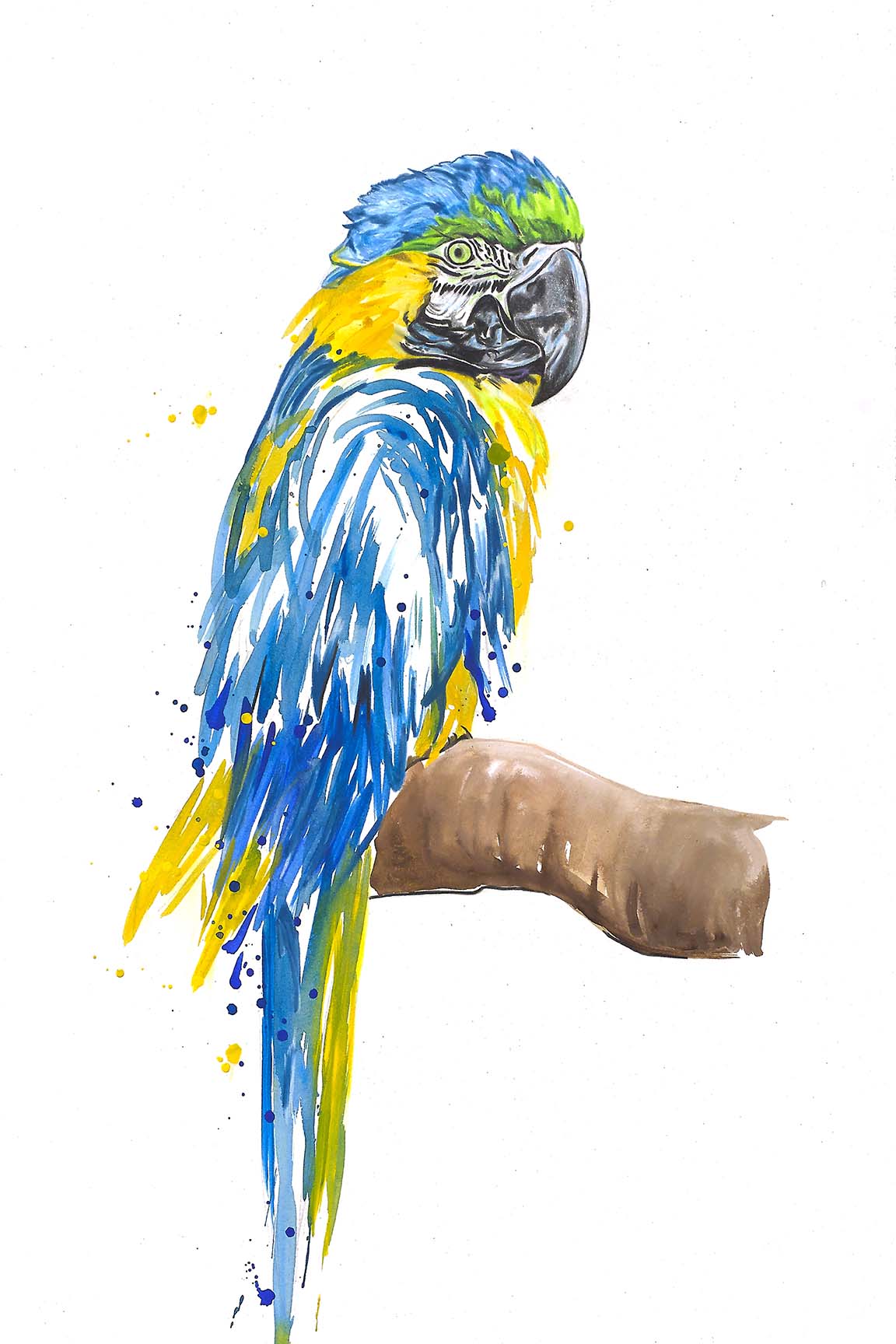 Watercolor parrot painting with bold electric blues and bright sunshine yellows