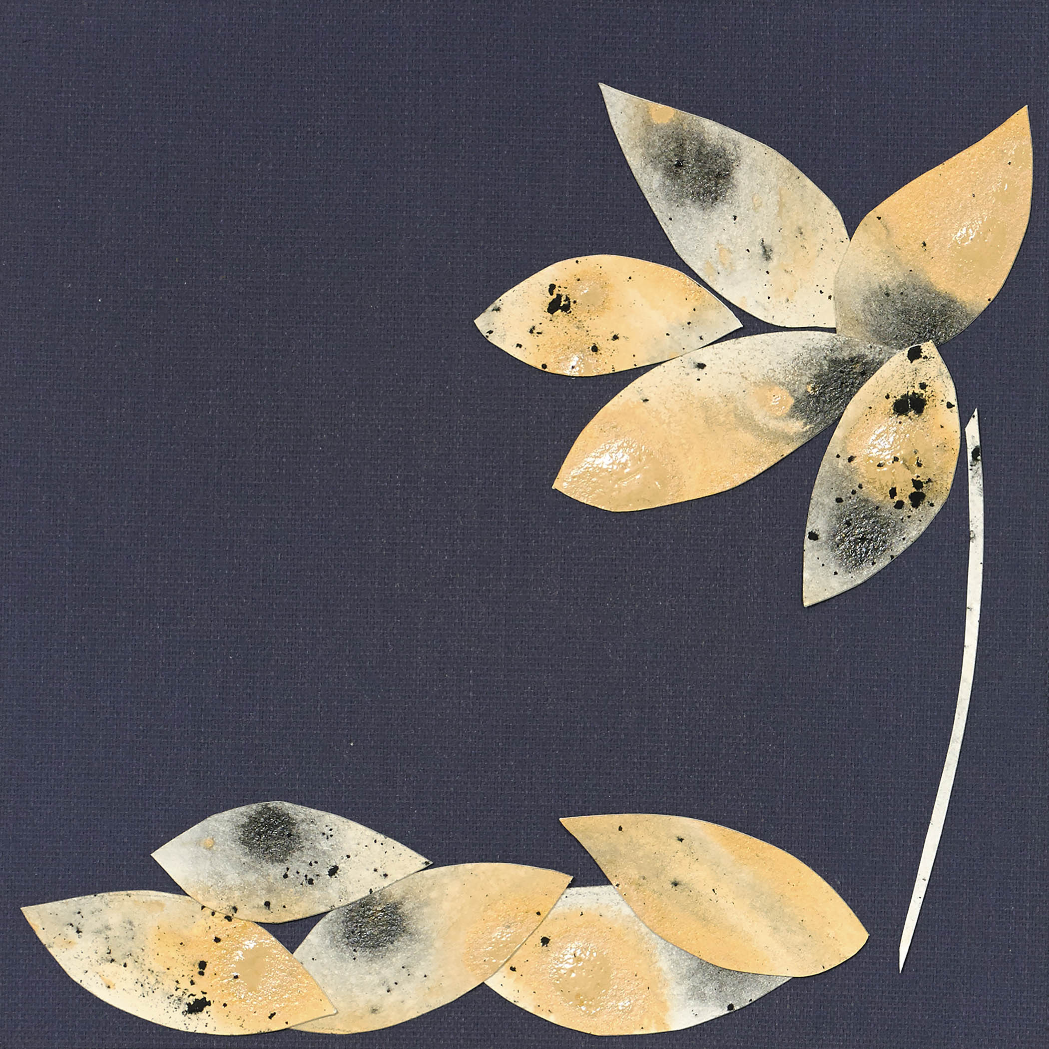 Modern minimalist floral artwork with abstract gold and black petals on a charcoal-grey background, simple, refined, and elegant.