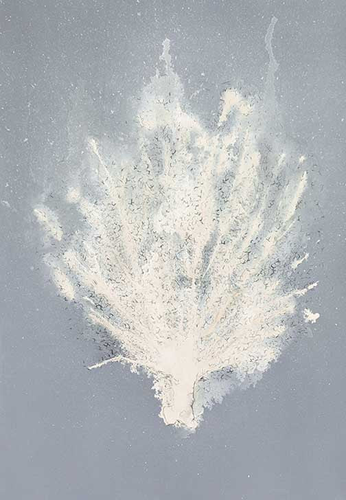 Minimalist coral artwork with pale ivory sea fan or coral-like forms on a blue-gray background
