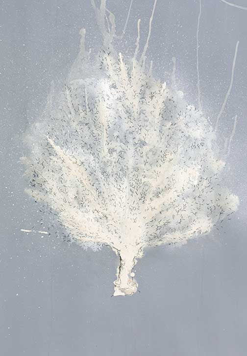 Abstract coral artwork with pale cream forms and soft textures on a muted blue-gray background