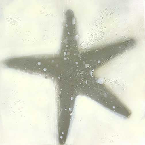 Ethereal ocean life artwork with a delicate starfish suspended in pale neutral tones and subtle textures