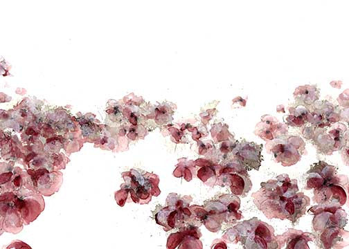 Soft abstract floral painting with rose and burgundy petals on a light background