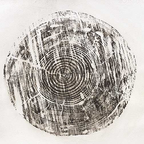 Tree ring print in bold ink, showing organic detail, age, and imperfection with an earthy, minimal, and quietly powerful presence.