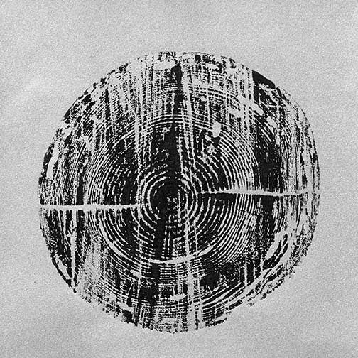 Bold tree ring print in stark black on grey, showcasing deep grooves and organic symmetry with minimalist, nature-rooted rhythm.