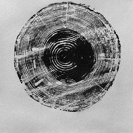 High-contrast tree ring print in bold black and silver, revealing nature’s geometry with a timeless, meditative presence.