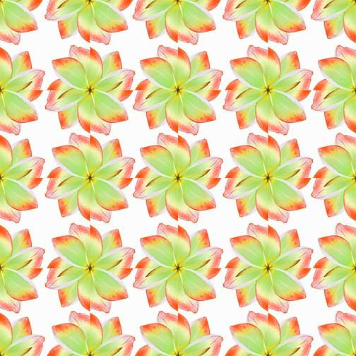 Green mandala floral art with radiant green petals tipped in coral red arranged in a symmetrical tropical pattern.