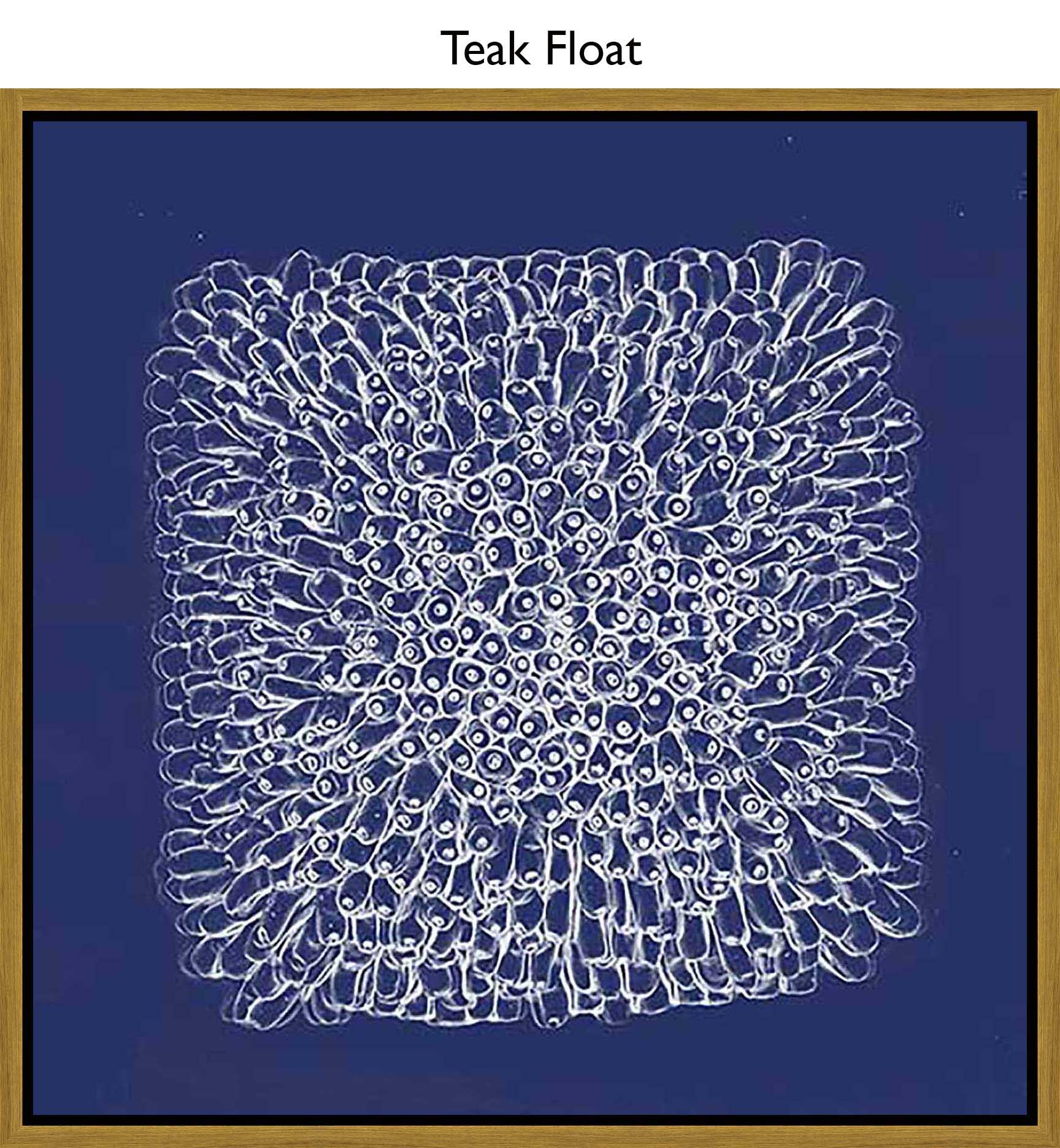 Teak Float