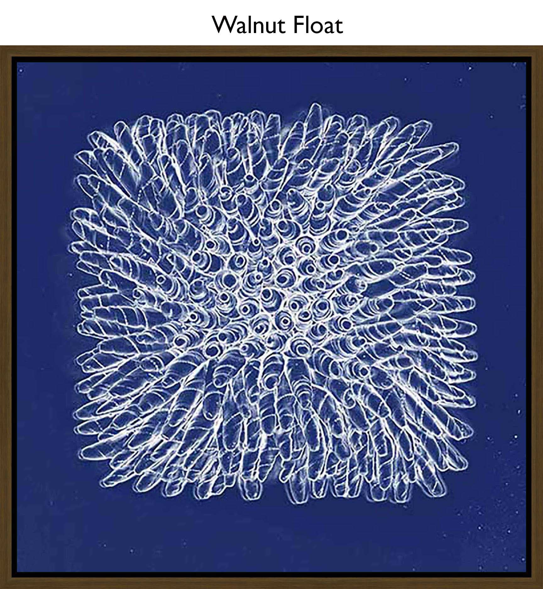 Walnut Float