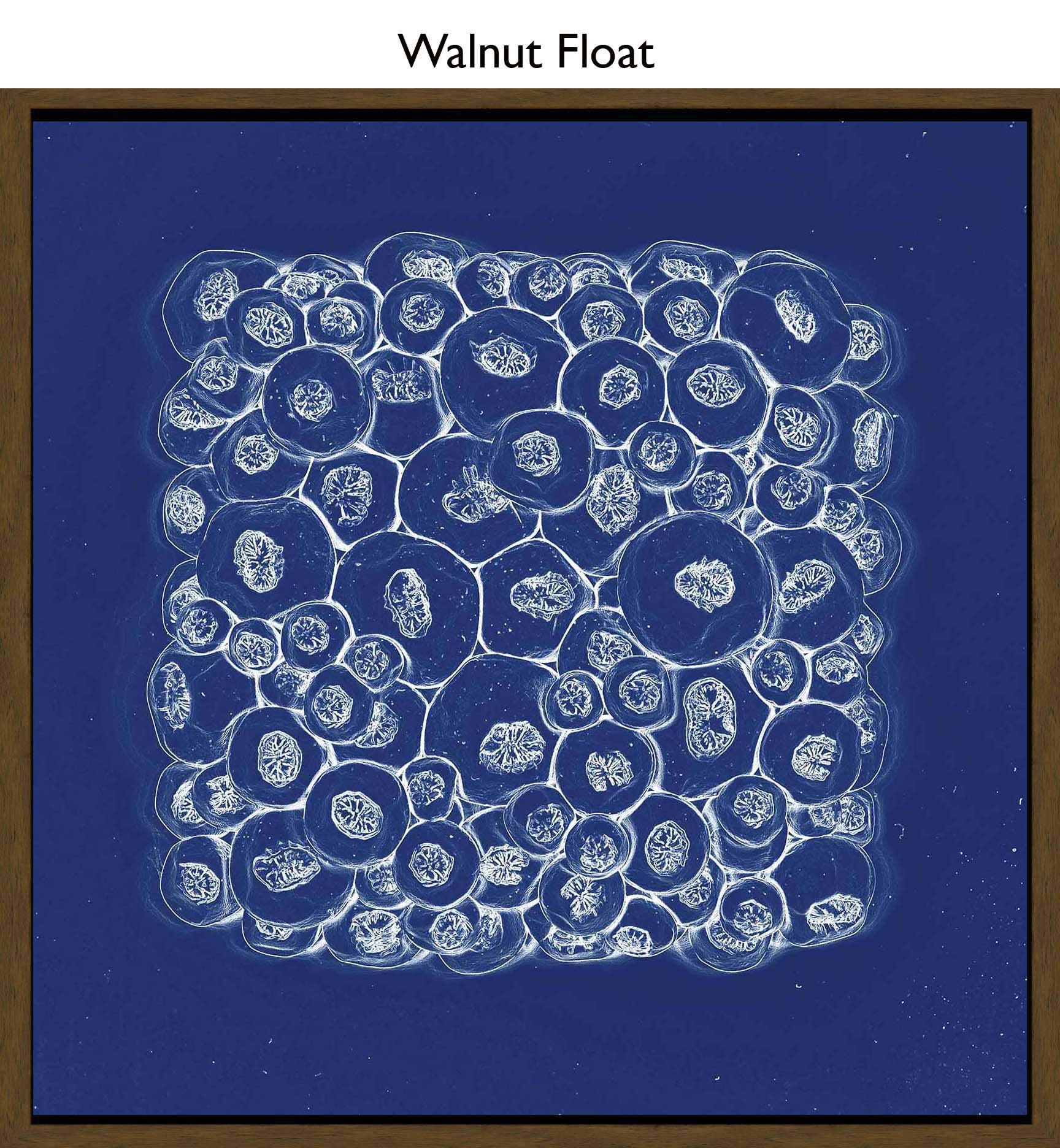 Walnut Float