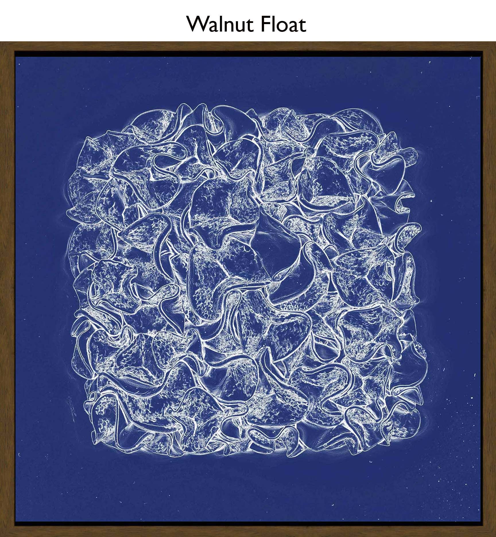 Walnut Float