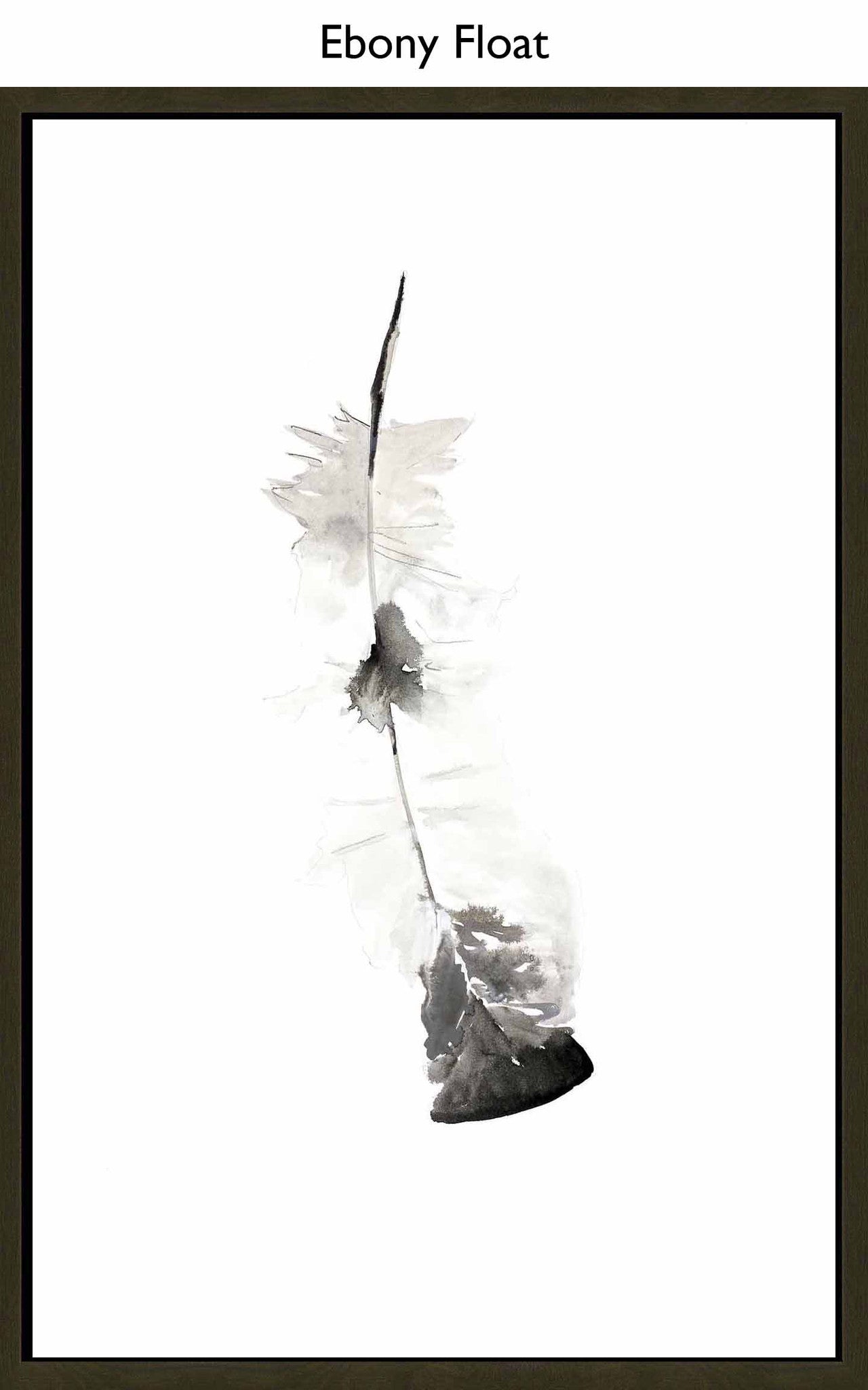 Ebony Float