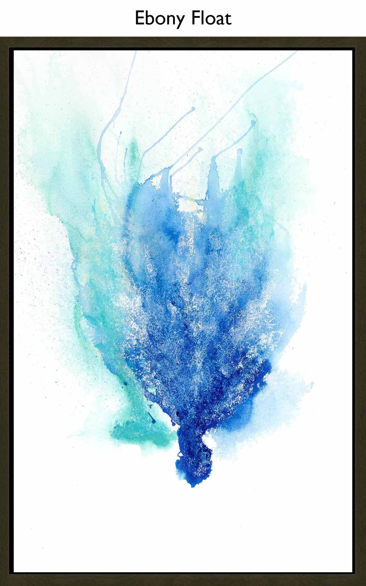 Ebony Float