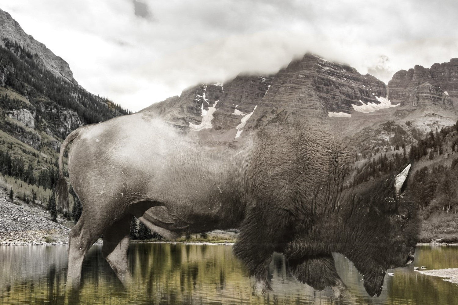 Surreal artwork of a bison blending into a misty mountain landscape with reflective waters, evoking nature’s raw beauty and mystery