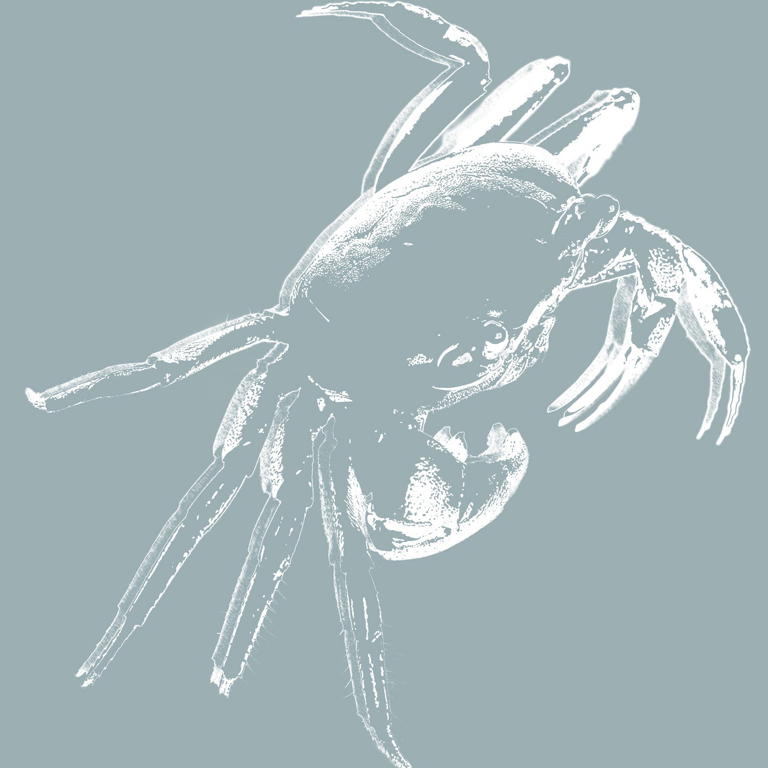 Blue and white crab print with nautical coastal charm, evoking fresh seaside style.