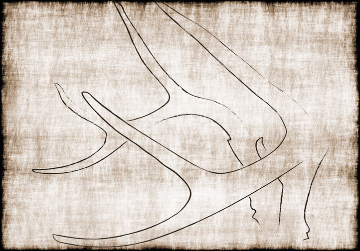 Minimalist antler artwork with delicate antler lines on a raw parchment background