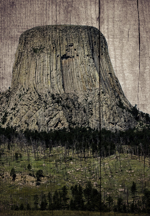 Neutral contemporary artwork with soft tones on a wood grain background, modern and textured.