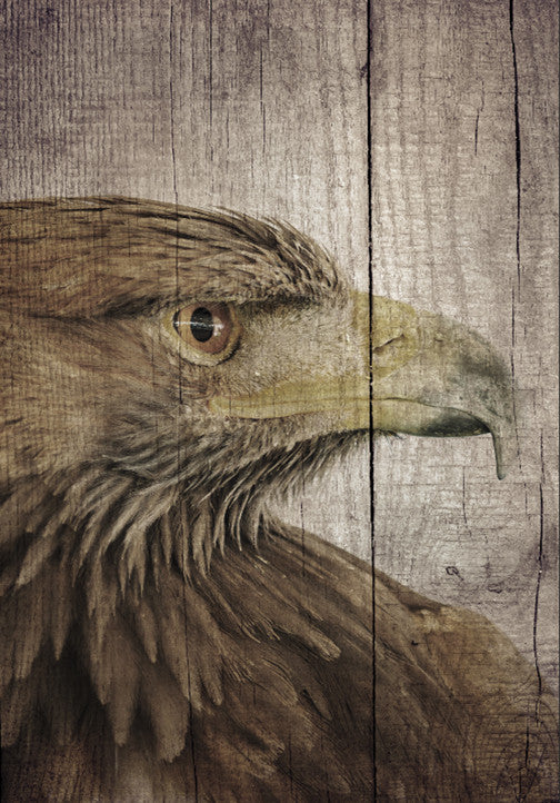Rustic wildlife art of an eagle etched on aged wood grain with natural texture.