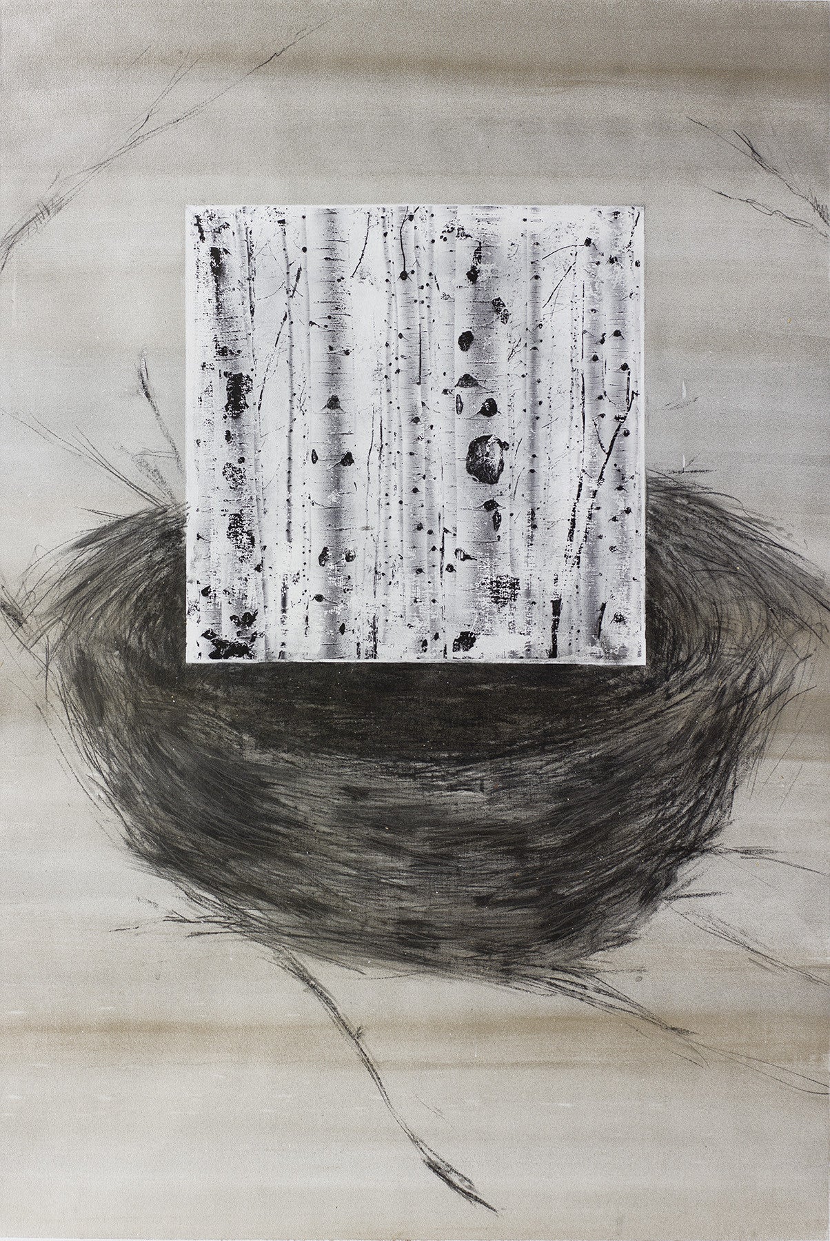 mixed-media artwork featuring bird nest drawing and birch trees