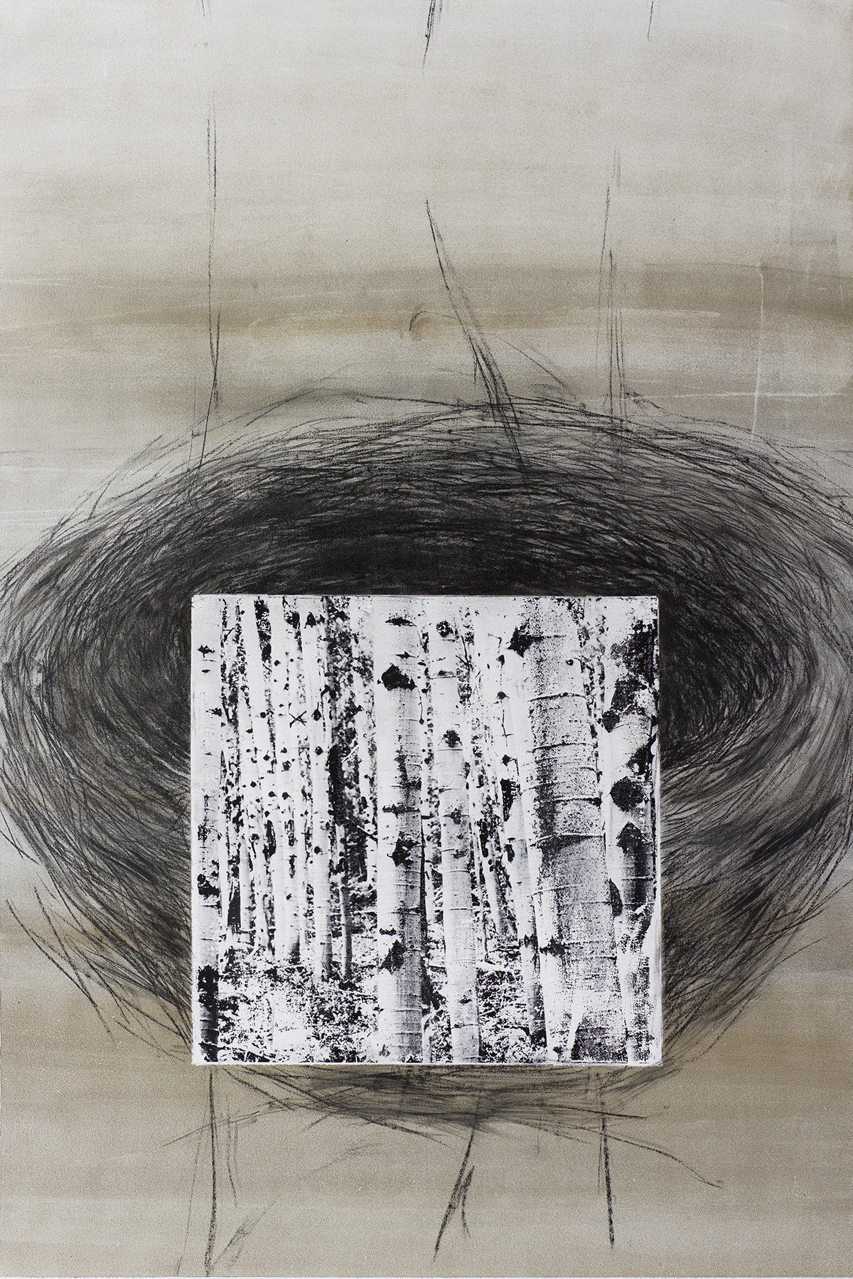 mixed-media artwork featuring birch tree and bird nest, part of a complementary set