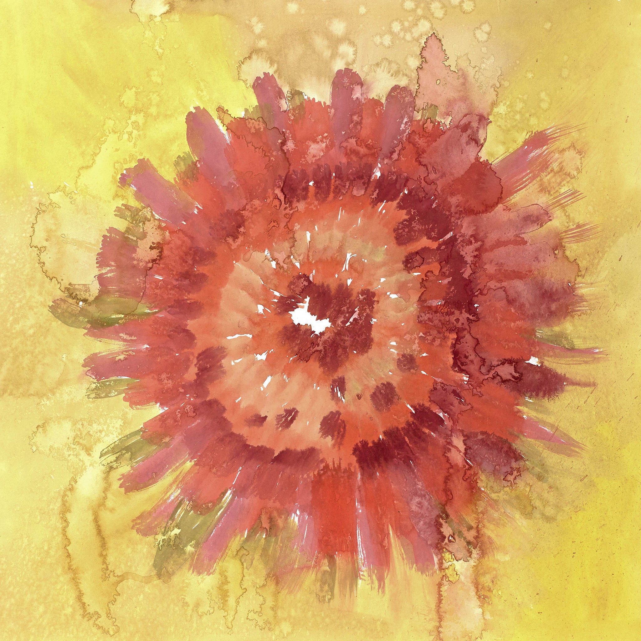 Illuminated Impressions I