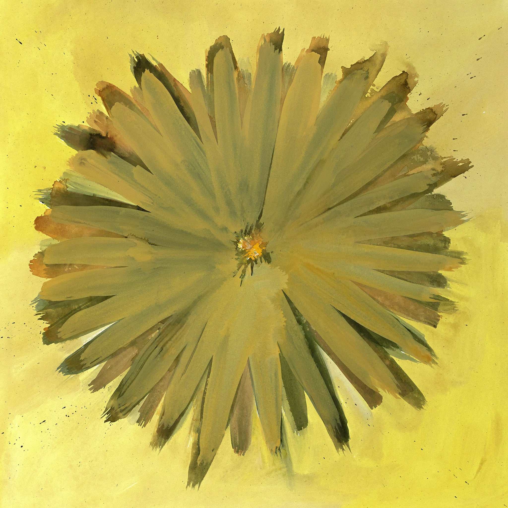 Illuminated Impressions II