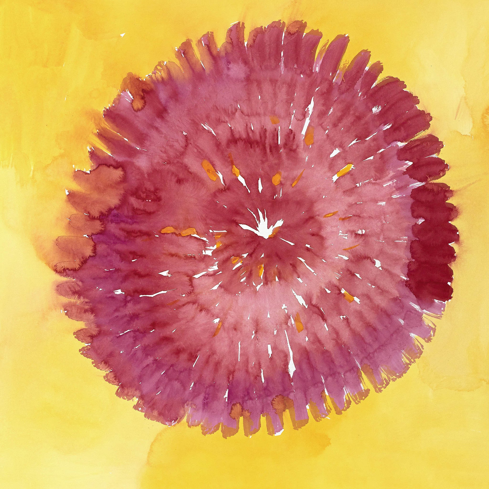 Illuminated Impressions III