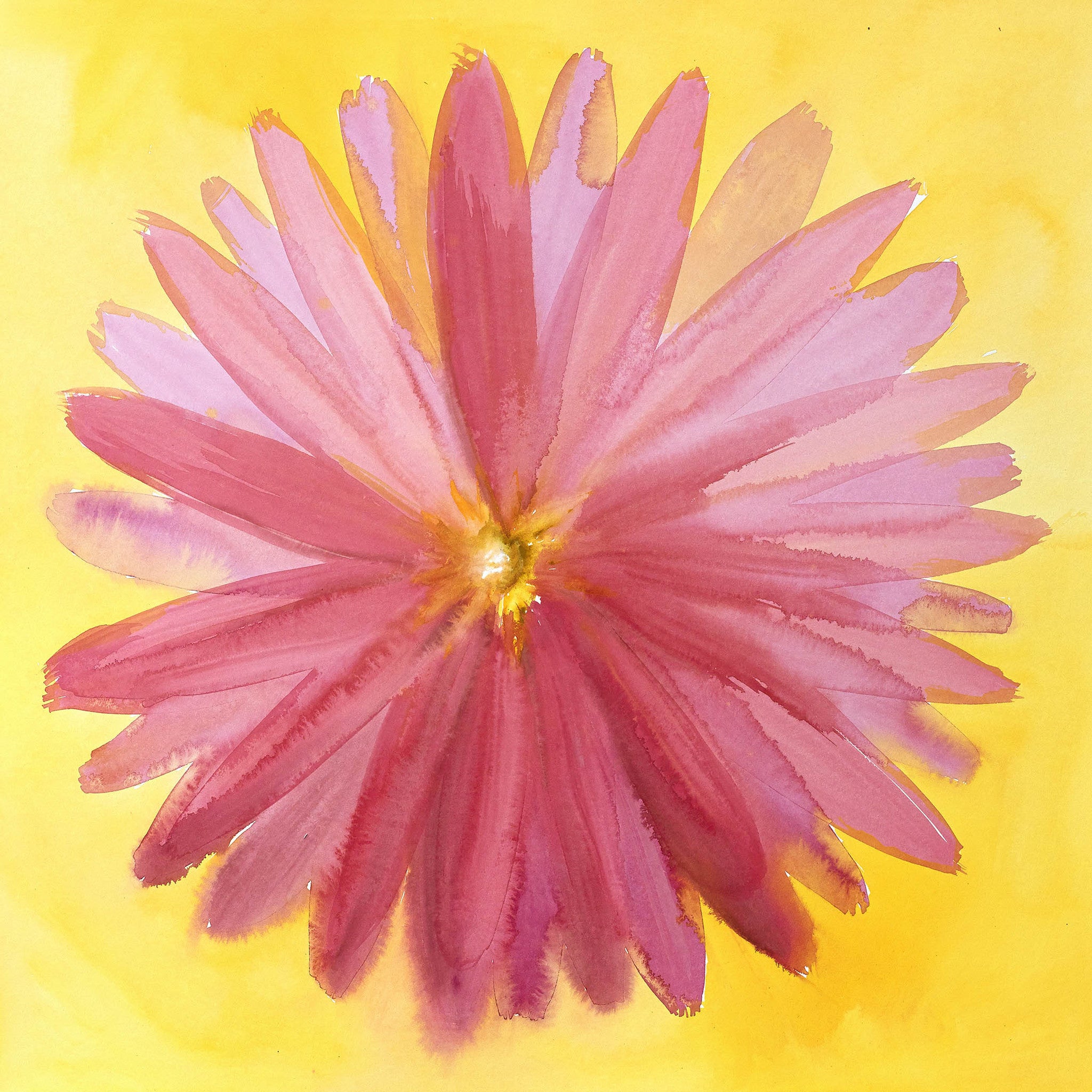 Illuminated Impressions IV