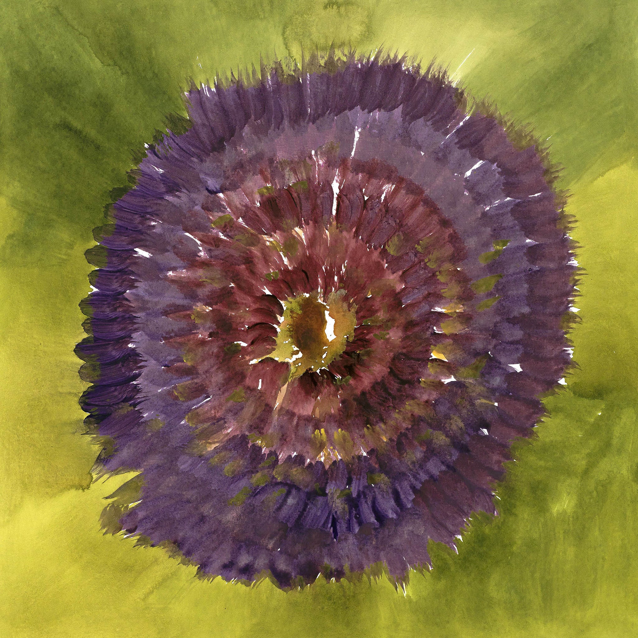 Illuminated Impressions V