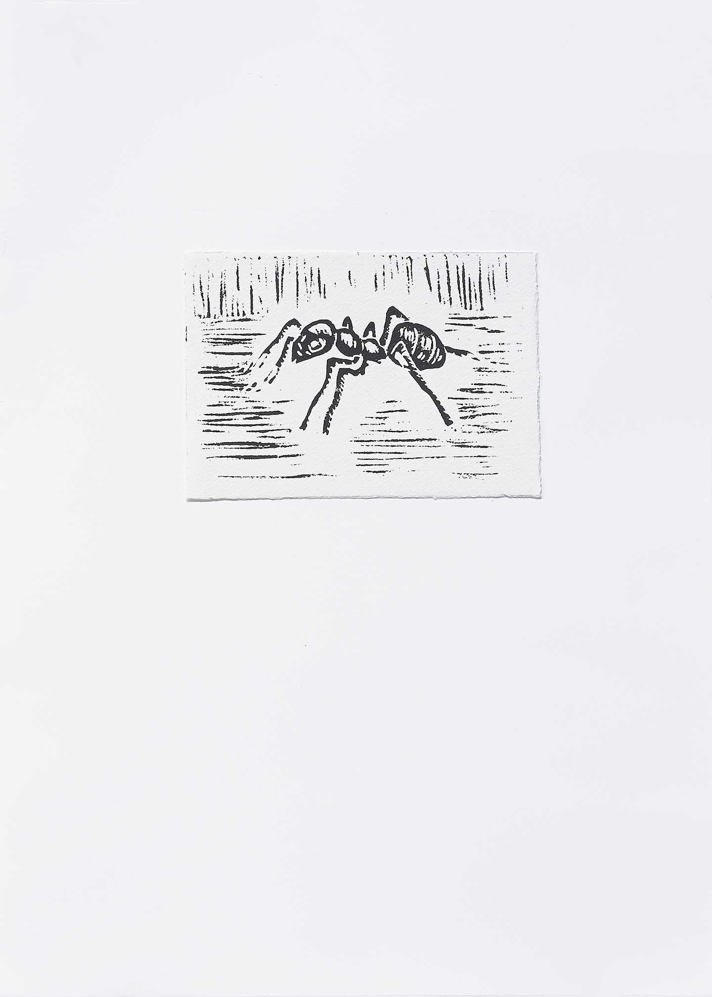 Minimalist ant artwork with a single black ant crossing horizontal graphic lines on a light field