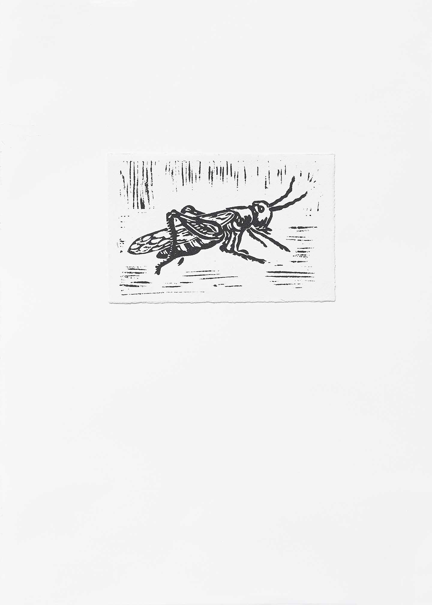 Minimalist grasshopper print with bold black linework on white background, hand-carved and graphic
