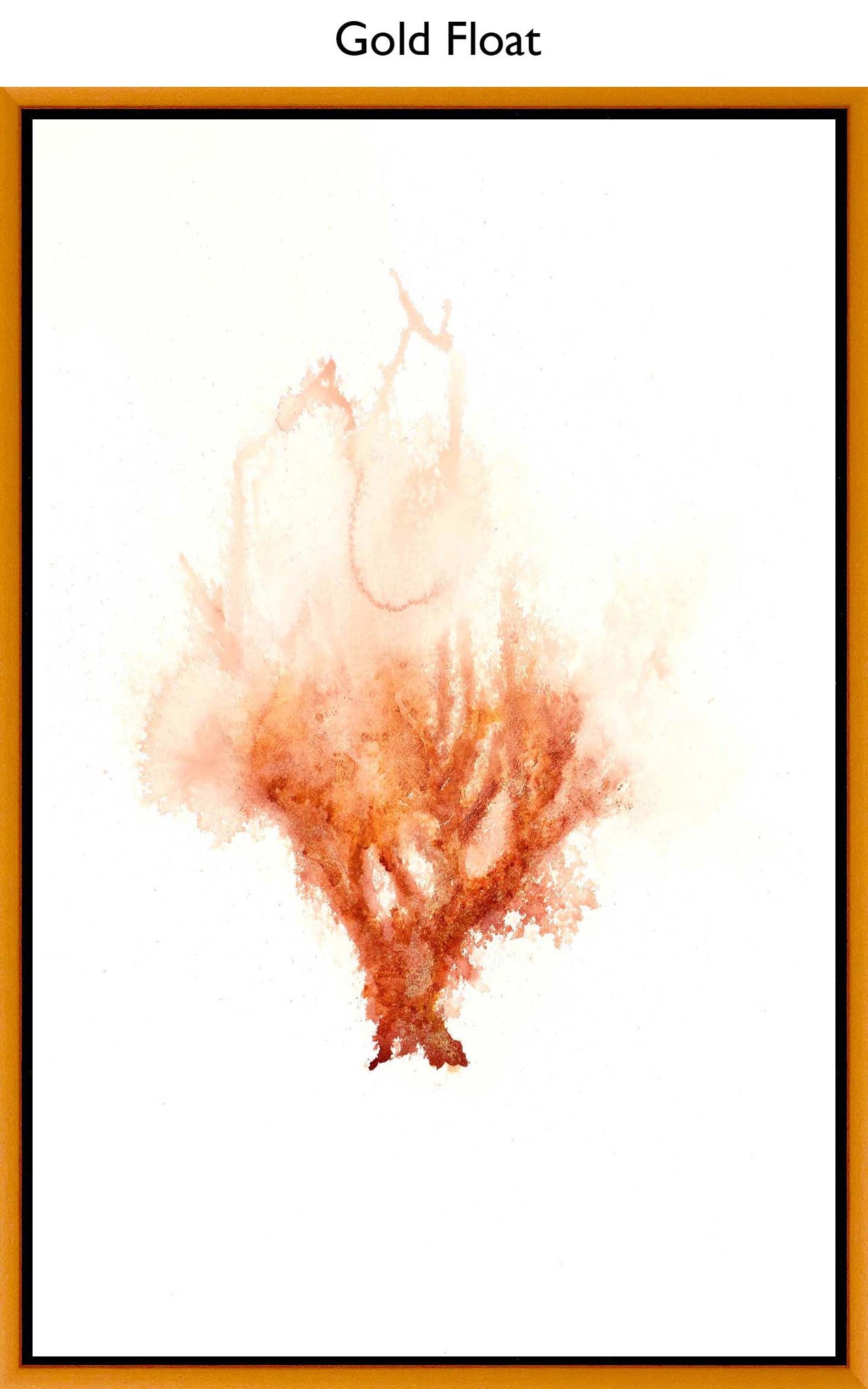 Gold Float