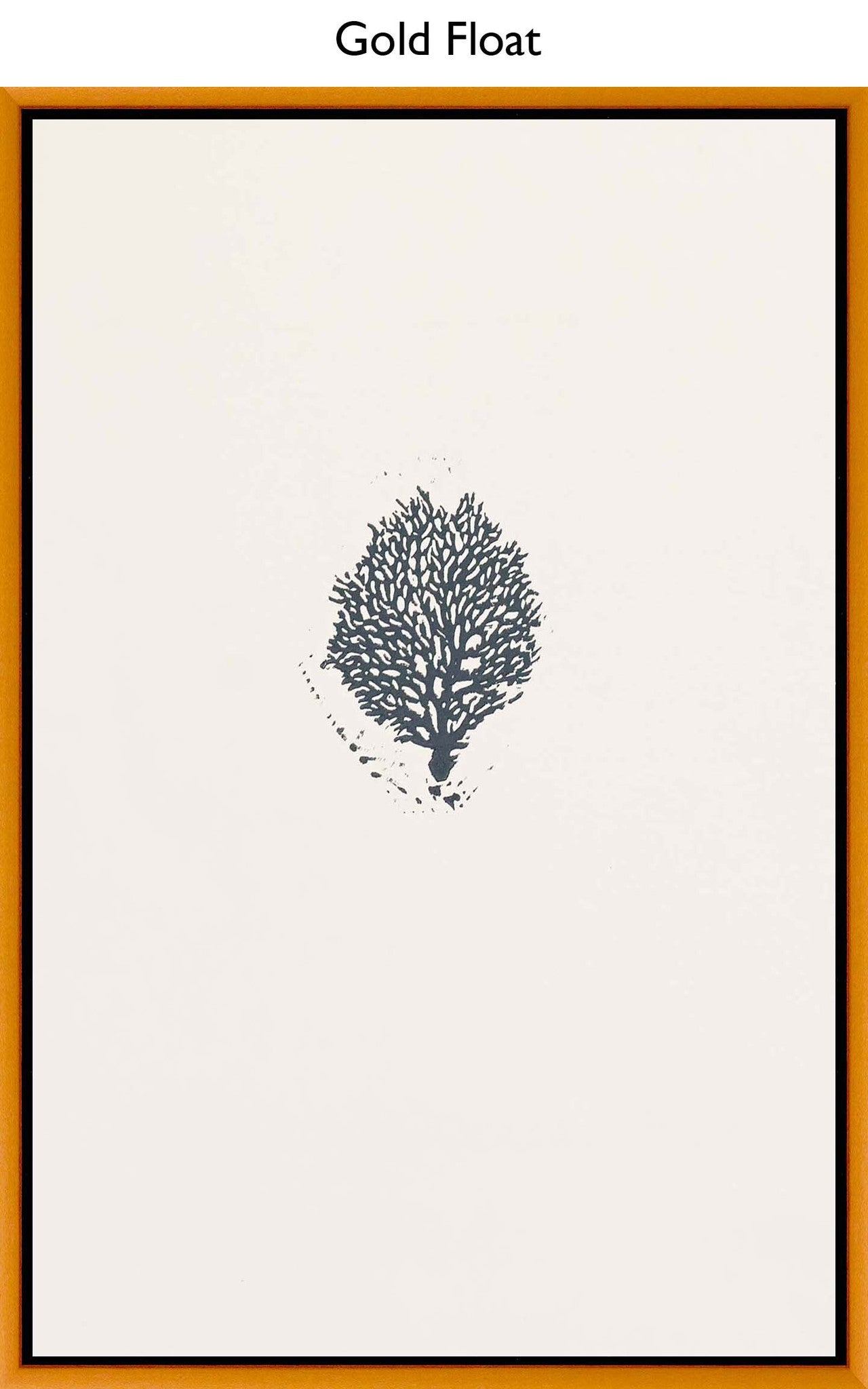 Gold Float
