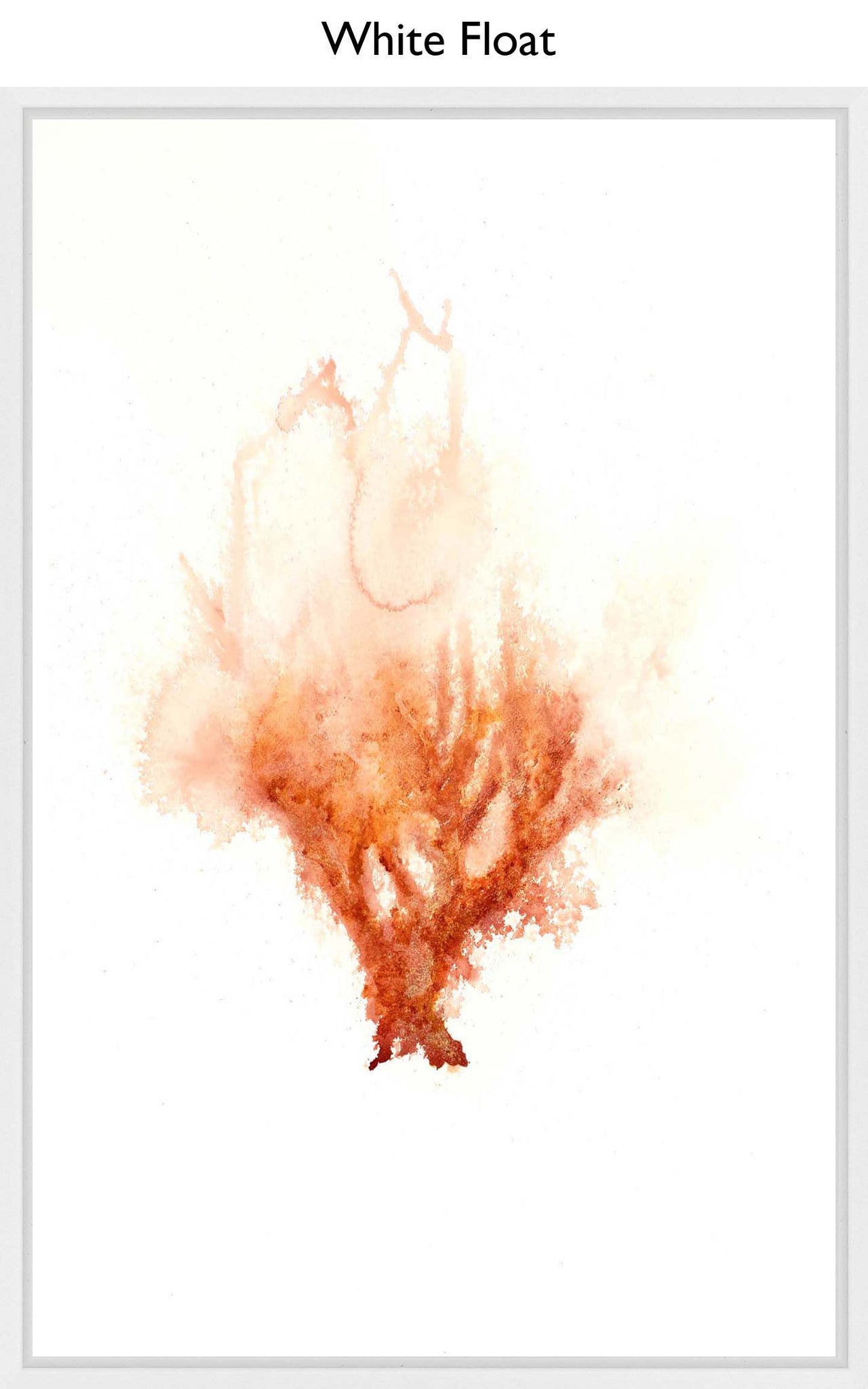 White Float