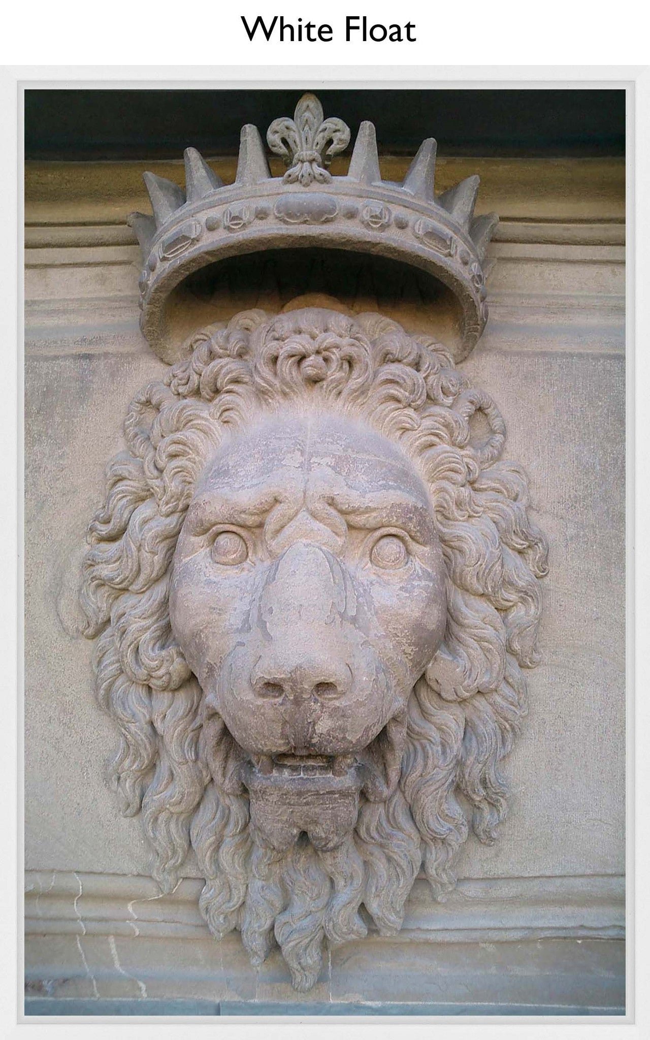 White Float