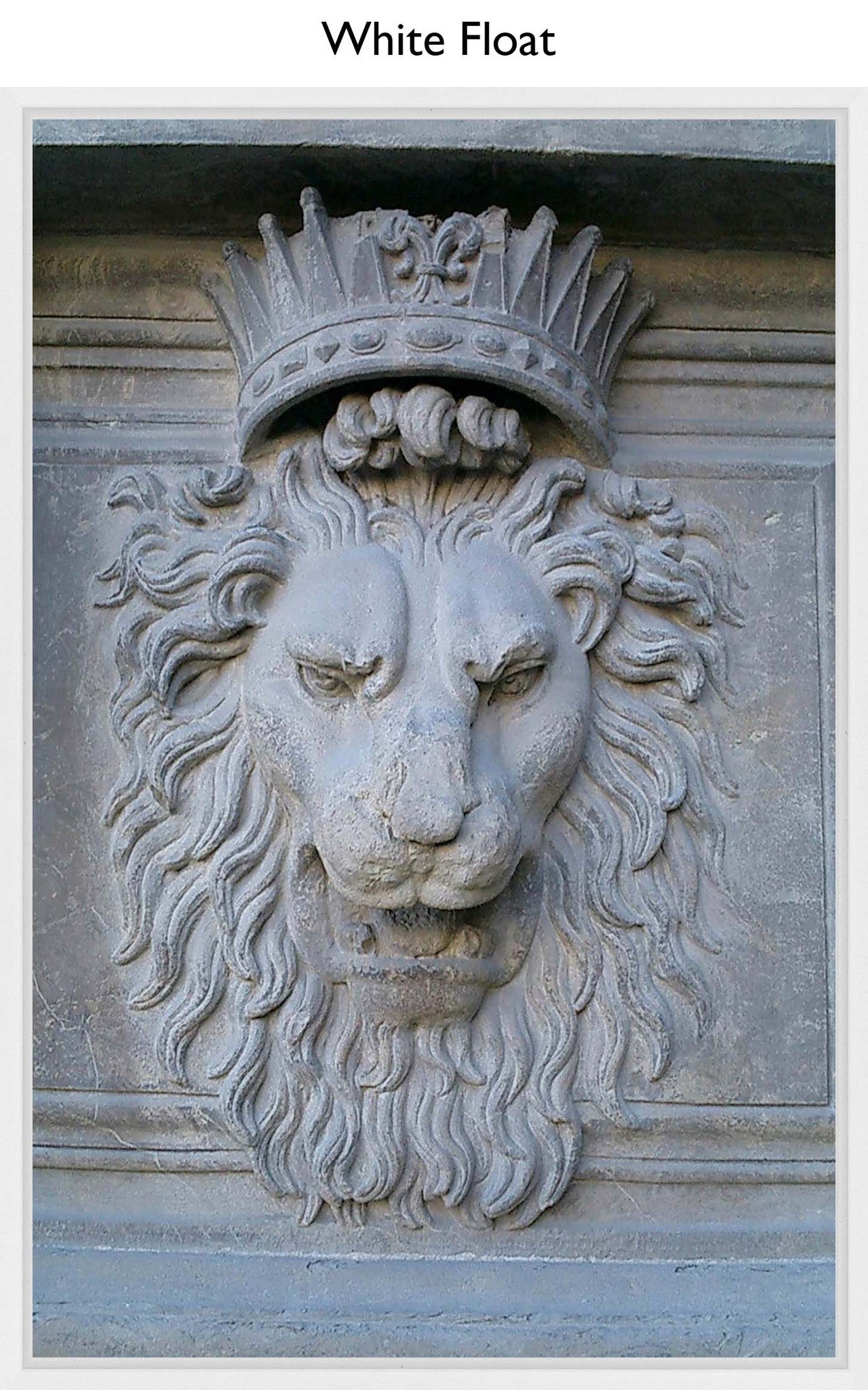 White Float