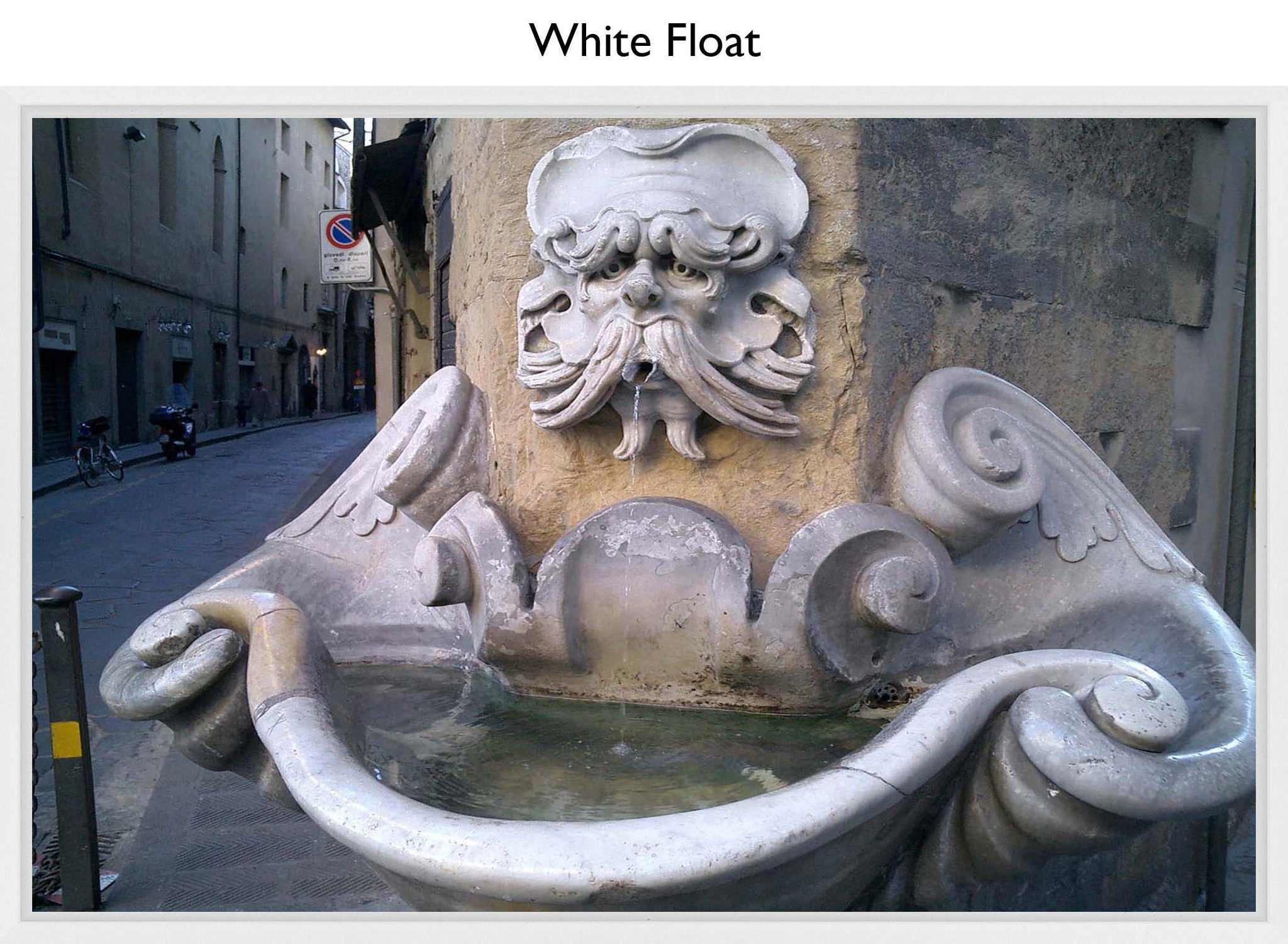 White Float