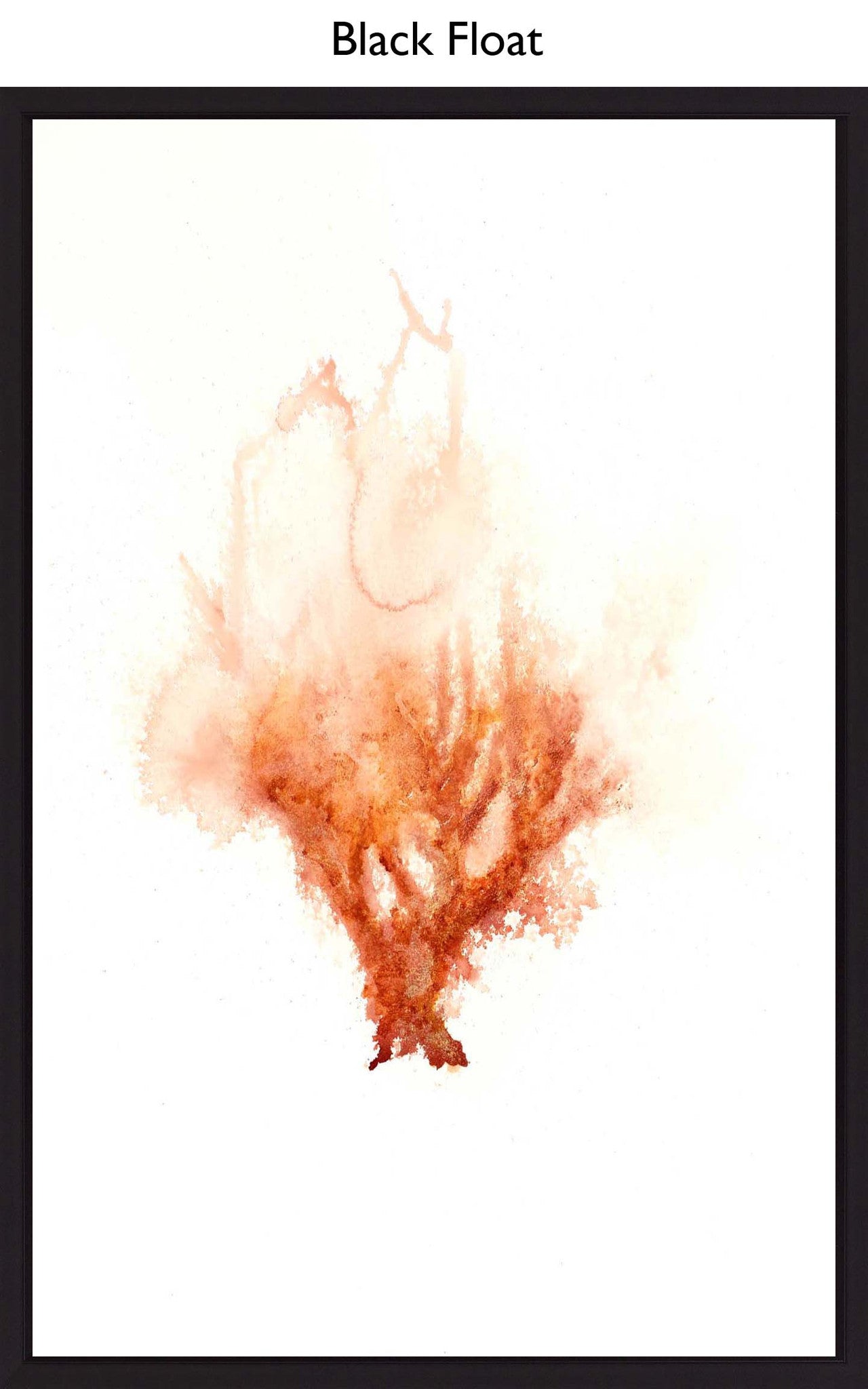 Black Float