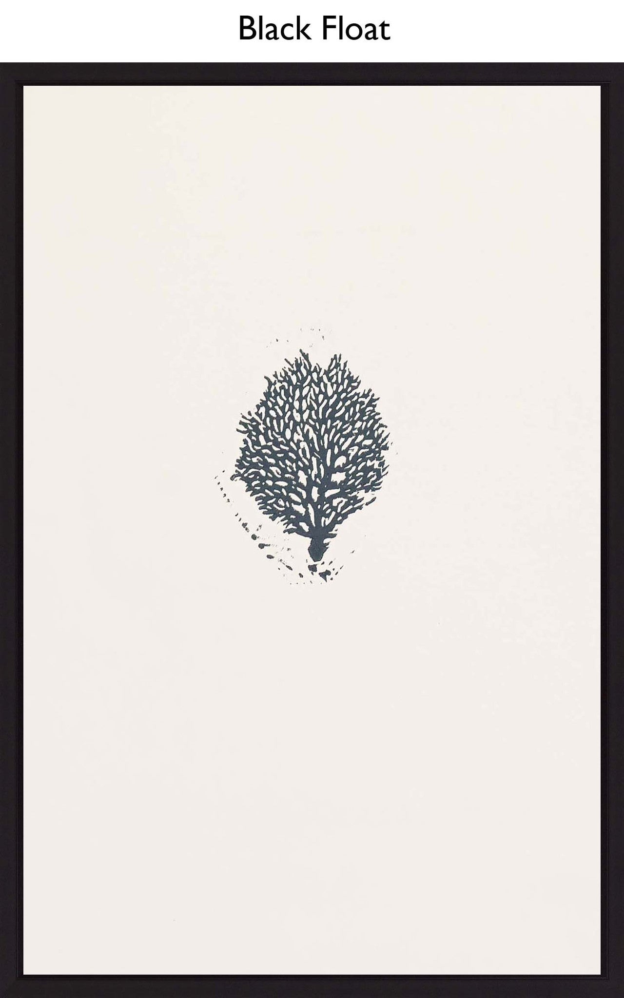 Black Float